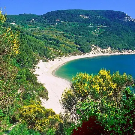 Borgo Farneto Lejlighed *